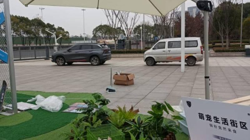 开业活动策划：如何选择厂家直供价格实惠的方案**